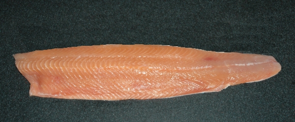 Chum Salmon Fillet