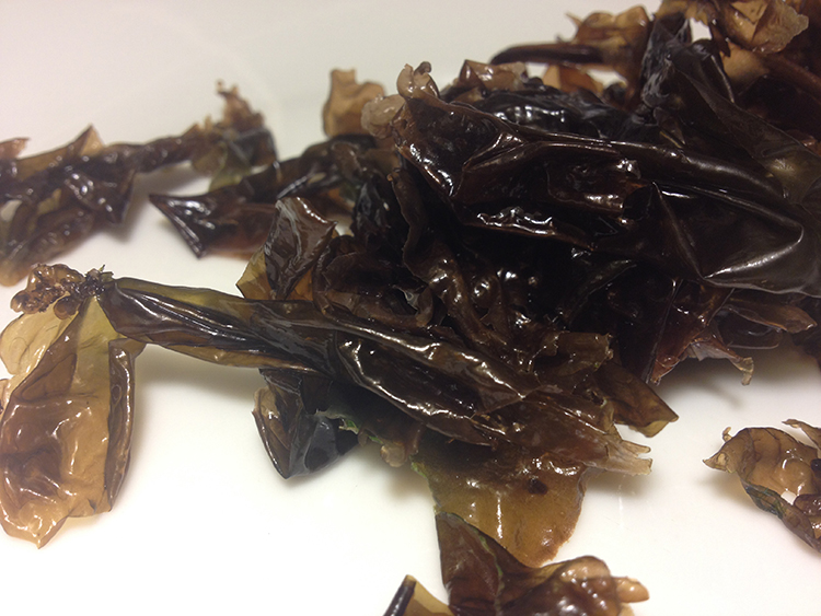 edible seaweed nova scotia